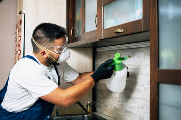 Best Mosquito Control Services  in Yorktown Heights, NY