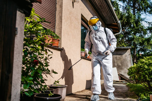 Best Best Pest Control Companies  in Yorktown Heights, NY