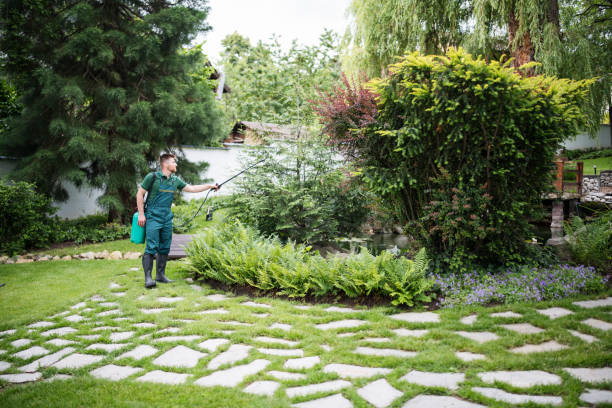 Best Wasp Removal Services  in Yorktown Heights, NY