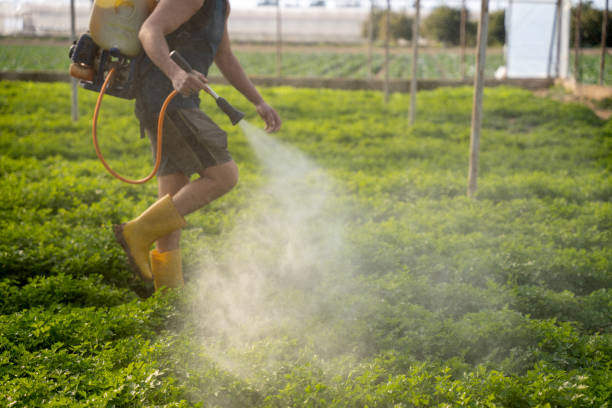 Best Pest Prevention Services  in Yorktown Heights, NY