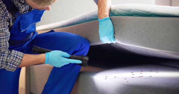 Best Mosquito Control Services  in Yorktown Heights, NY