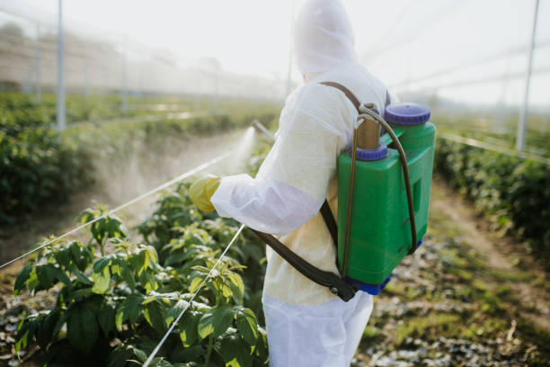 Pest Prevention Services in Yorktown Heights, NY